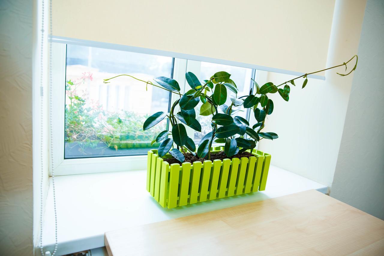 Coin Apartments&poshtel Hostel